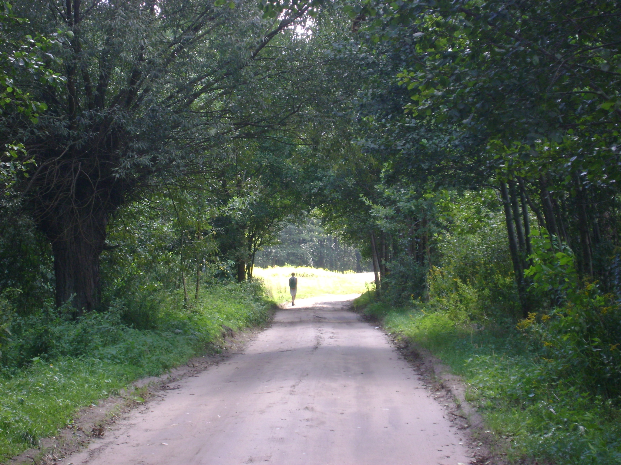 Osamotnienie w&nbsp;pandemii – oczami psychologa